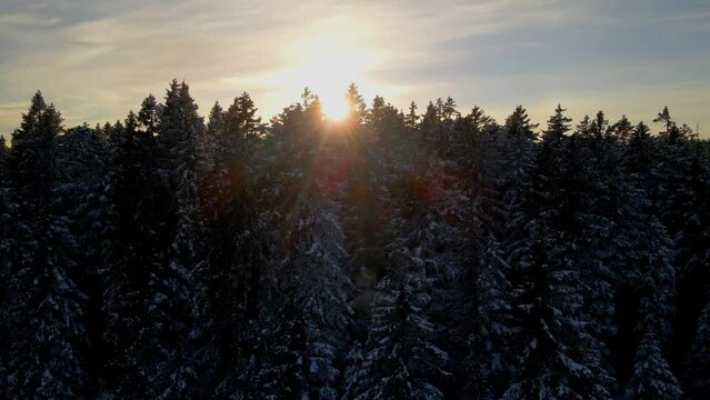 Aerial 4K drone footage of Črno jezero or Black lake on Pohorje. It lies between Osankarica and Veliki vrh at 1200 m above sea level.