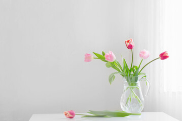 tulips in glass vase on white background