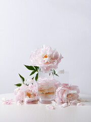 pink flowers