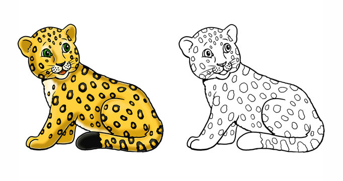 Cute baby leopard to color in. Template for a coloring book with funny animals. Colouring page for kids.