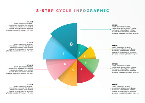 8-step cycle infographic