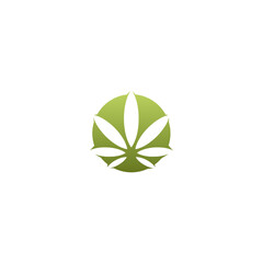 Marijuana cannabis icon logo. Hemp oil icon isolated on white background