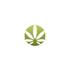 Marijuana cannabis icon logo. Hemp oil icon isolated on white background