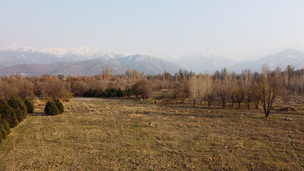 Fototapeta na wymiar drone view of the spring park in Almaty