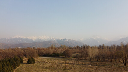 Fototapeta na wymiar drone view of the spring park in Almaty