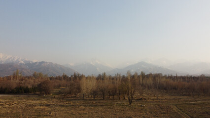 drone view of the spring park in Almaty
