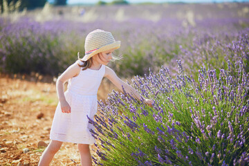 Adorable 4 year old girl in white dress and straw hat walking through rows of lavender near Valensole, France