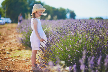 Adorable 4 year old girl in white dress and straw hat walking through rows of lavender near Valensole, France