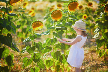 Adorable 4 year old girl in white dress and straw hat in a field of sunflowers, Provence, France