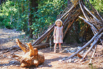 Beautiful cedar forest with great hiking and walking trails and panoramic views near Bonnieux, Luberon, Provence, Southern France