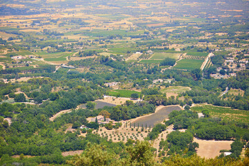 Aerial Mediterranean landscape with cypresses, olive trees and vineyards in Provence, Southern France