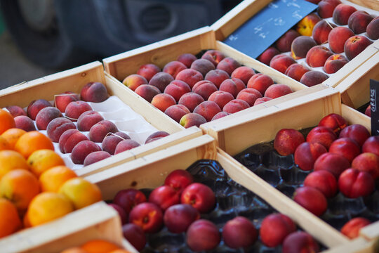 Fresh organic vegetables on farmer market in Cucuron, Provence, France