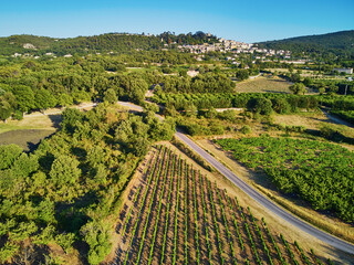 Fototapeta na wymiar Aerial Mediterranean landscape with cypresses, olive trees and vineyards in Provence, Southern France