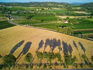 Aerial scenic Mediterranean landscape with cypresses, olive trees and vineyards in Provence, France