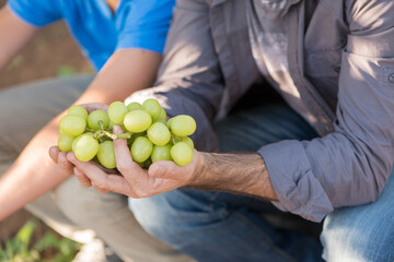 Man holding bunch of white grapes in hands