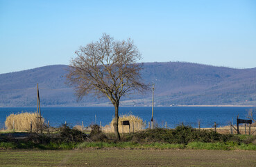 Matin d'hiver au bord d'un lac