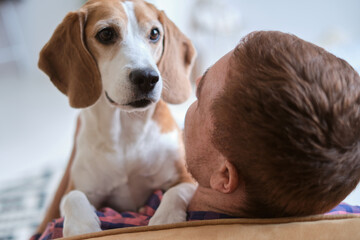 sweet moment between a man and his Beagle, revealing the power of a loving hug and canine...