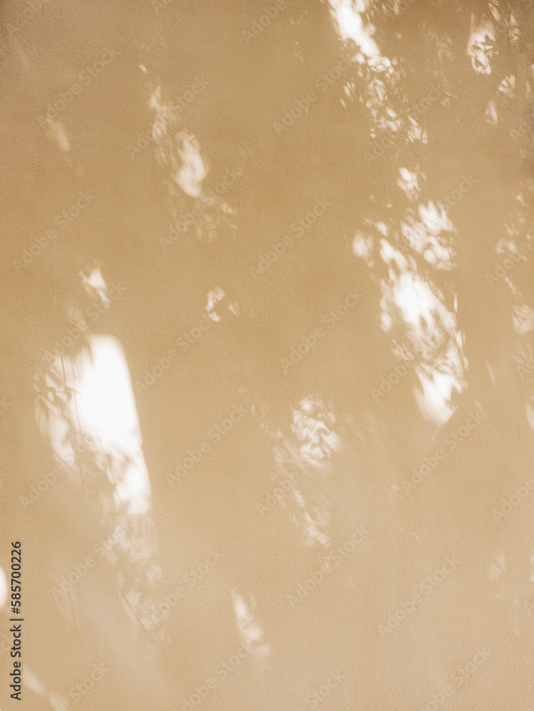 Poster tree leaves shadow on wall nature abstract background
