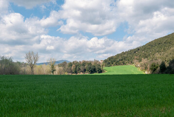 idilliaco e silenzioso paesaggio rurale in primavera in una giornata luminosa