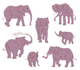 Set of elephants in various poses, flat vector illustration isolated on white background.