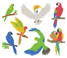 Naklejka premium Exotic colorful parrot birds set flat vector illustration isolated on white.
