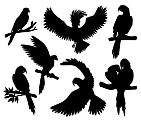 Tropical birds and parrots black silhouettes set, vector illustration isolated. © sabelskaya