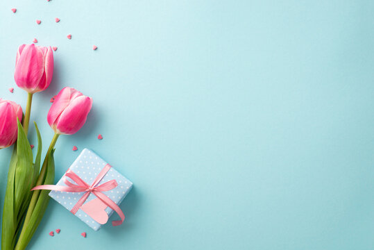 Mother's Day decorations concept. Top view photo of bunch of pink tulips small blue giftbox with ribbon bow and heart shaped sprinkles on isolated pastel blue background with copyspace