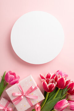 Mother's Day concept. Top view vertical photo of white circle flowers tulips and pink gift boxes with ribbon bows on isolated pastel pink background with copyspace