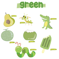 Set of green color objects. Primary colours flashcard with green elements. Learning colors for kids. Vector illustration file. Learning material for toddlers.