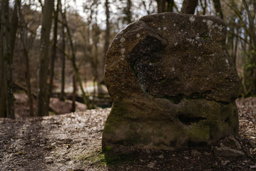 Menhir im Morgenbachtal bei Trechtingshausen