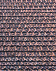 Clay roof tiles on Alpine chalet for use as a background texture
