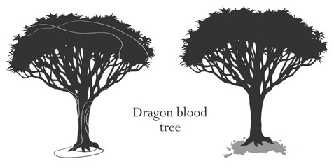 Dragon tree silhouette for your design, vector illustration, isolated object - 585708492