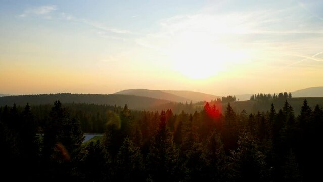Aerial 4K footage of Rogla's forests showcases the lush landscape with diverse flora and fauna, hiking trails, treetop walks, offering visitors a chance to relax in the natural beauty of the region.