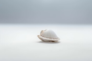 shell on the beach, generative AI