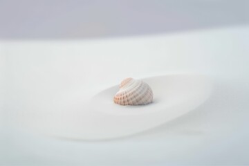 shell on the beach, generative AI