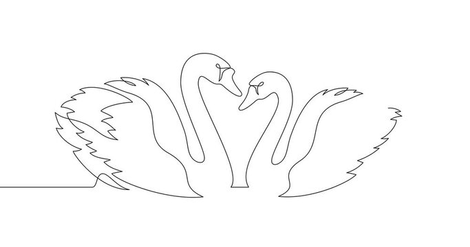 Animation of an image drawn with a continuous line. Dance of two swans. Symbol of love.