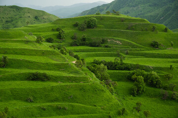 Scenic green terraces in the mountains of Dagestan. Famous green terraces in Dagestan