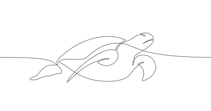 Animation of an image drawn with a continuous line. Sea turtle swims.