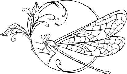 Sitting dragonfly in circle - obrazy, fototapety, plakaty