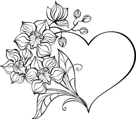 Favorite orchid © Nelli Valova