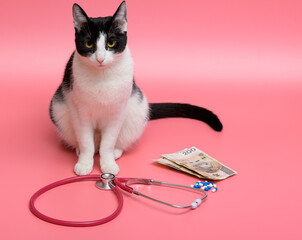 Chory kot, tabletki, pieniądze i stetoskop na różowym tle - obrazy, fototapety, plakaty