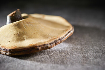 Dried Reishi Mushroom, traditional herbal medicine