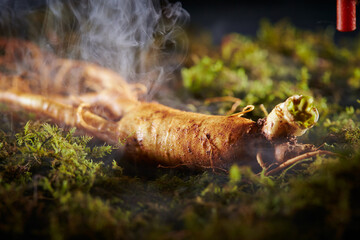 Ginseng, ginseng on moss background	