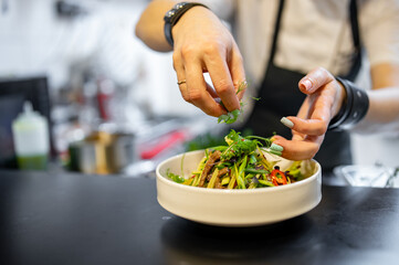 chef hand cooking Roast beef salad with vegetables on restaurant kitchen
