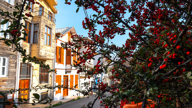 A street from Heybeliada, traditional wooden houses, Istanbul
