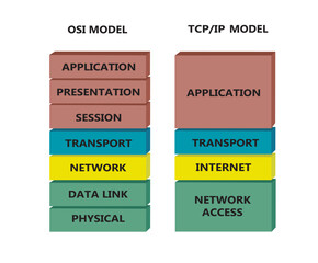 Comparation between OSI and TCP model, vector