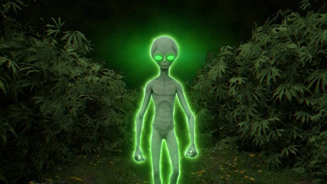 Green Glowing Alien Body Walking into Cannabis Forest Glowing UFO 420 High culture 3D vj loop Trippy visuals 4k Psychedelic Texture Daylight