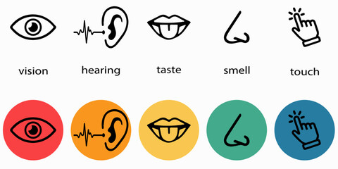  Five senses. Vector illustration containing eye, ear, lips, nose and hand. - obrazy, fototapety, plakaty