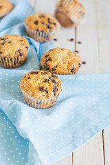 Classic muffins with chocolate chips for breakfast on blue and white background close up selective focus