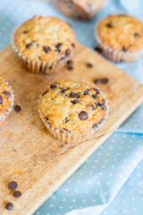 Classic muffins with chocolate chips for breakfast on blue and white background close up selective focus